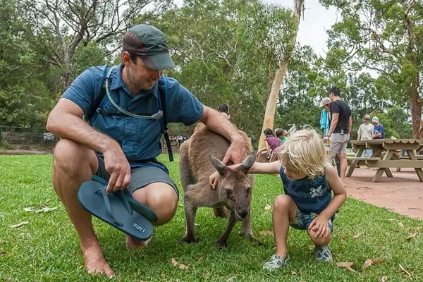 Australian Reptile Park Tour Sydney