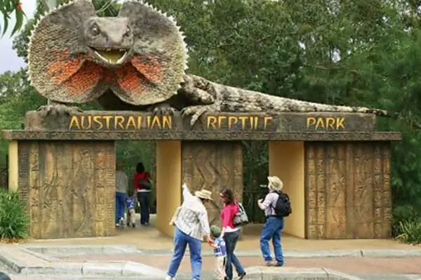Australian Reptile Park Tour