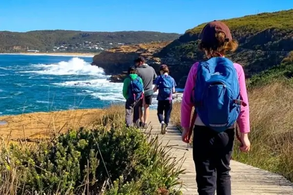 Coastal Lookout Tour Sydney