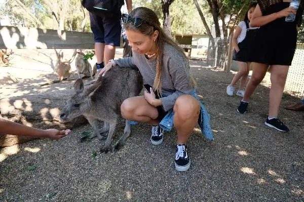 Sydney Wildlife Park Tour