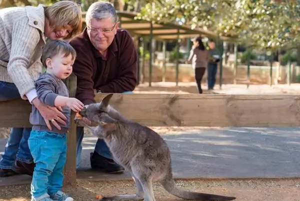 Featherdale Wildlife Park Tour Sydney