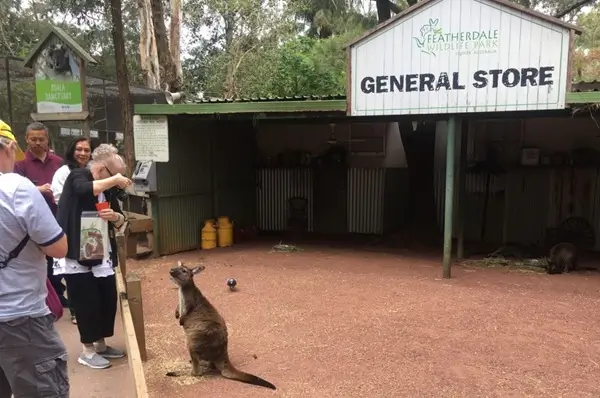 Sydney Featherdale Wildlife Park Tour