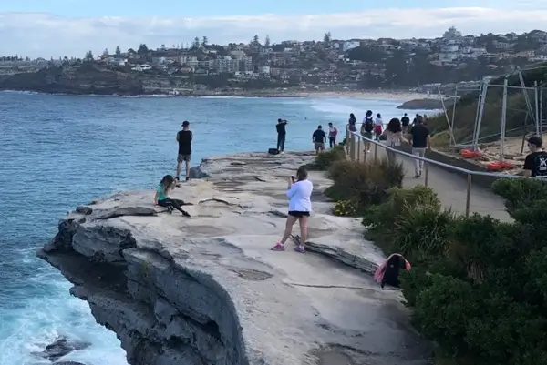 Sydney Bondi Beach Tour