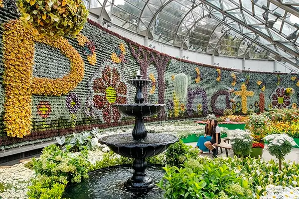 Sydney Royal Botanic Garden Tour