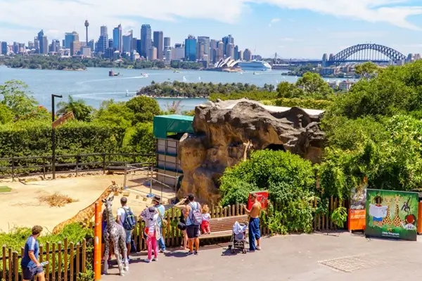 Taronga Zoo Tour Sydney