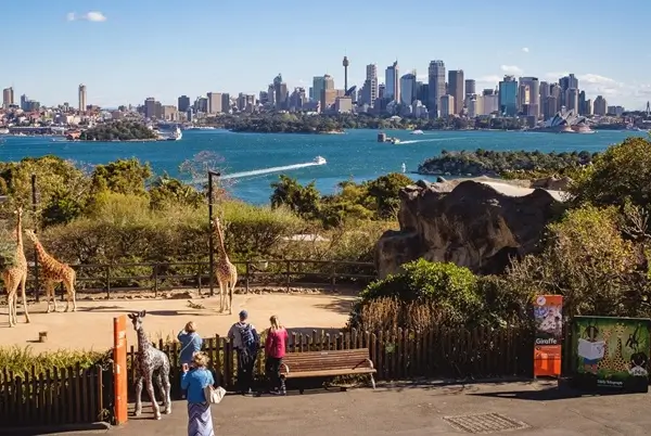 Sydney Wildlife Tour