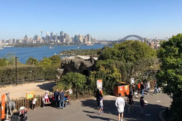 Taronga Zoo Private Tour Sydney