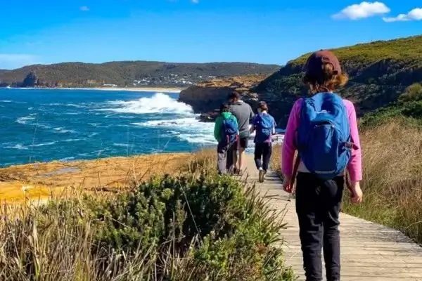 Coastal Lookout Sydney City and Beach Tour