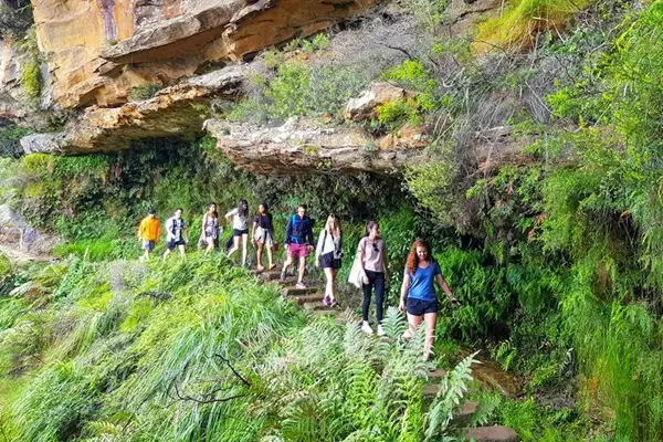 Personalised Blue Mountains Tour