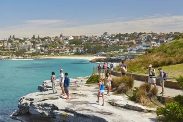 Sydney Beaches Tour