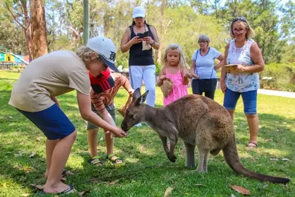 wildlife Advanture Tour Sydney